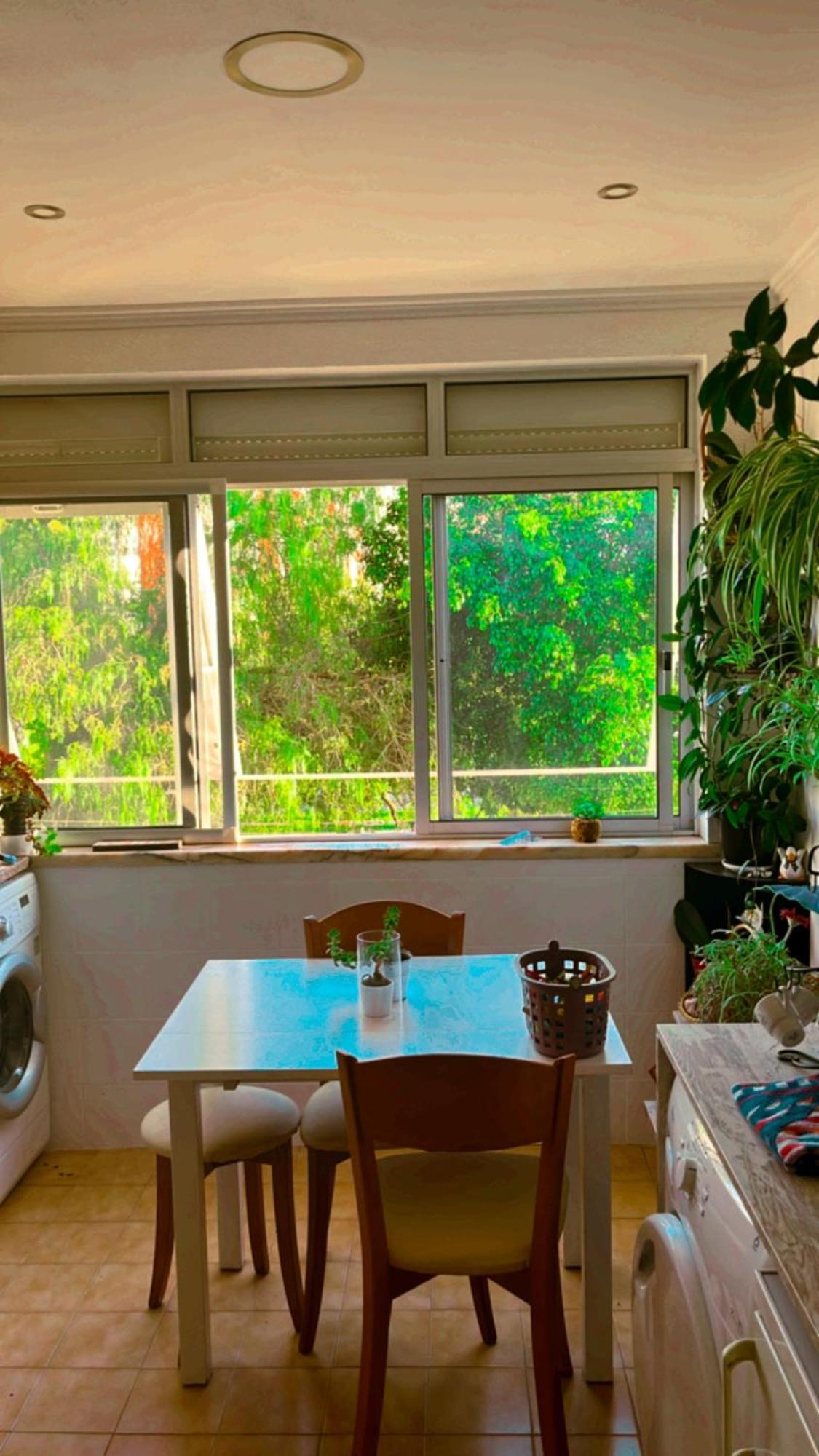 Apartamento Com Boa Luz E Localizacao Em Lisboa. Apartment